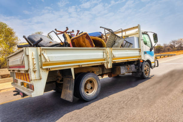 Best Recycling Services for Junk  in Ripley, TN